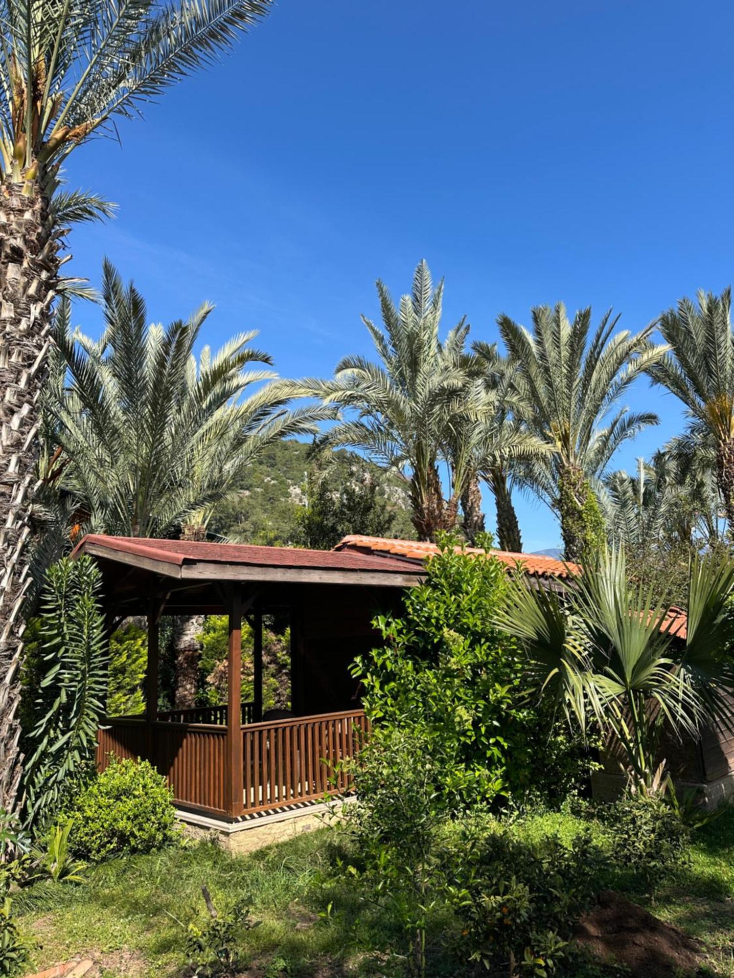 Azur Hotel Çıralı Exterior foto
